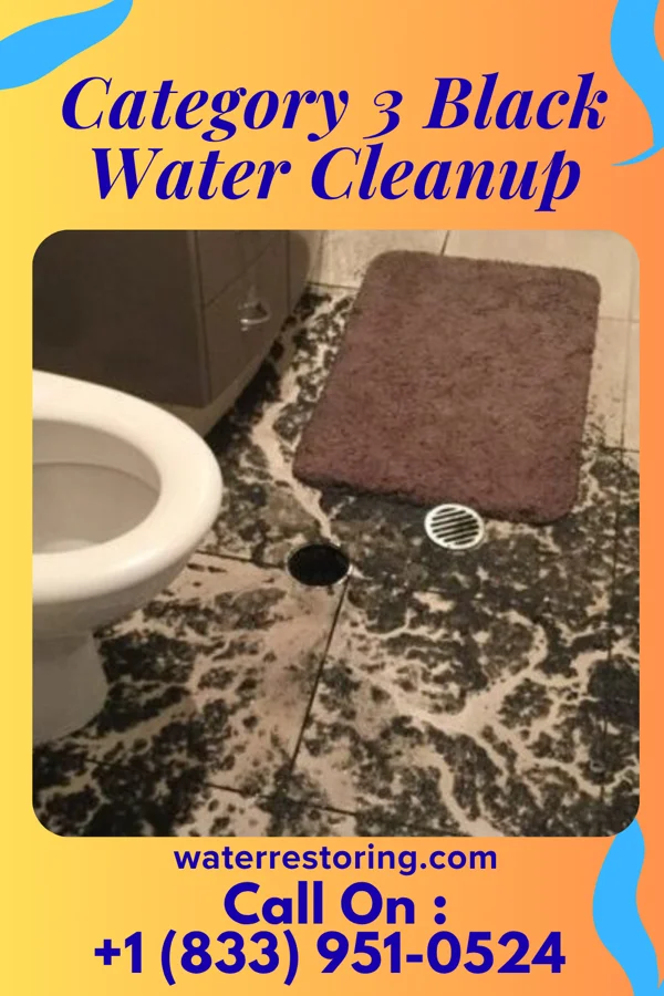 Category 3 Black Water Cleanup in Shorewood, MN