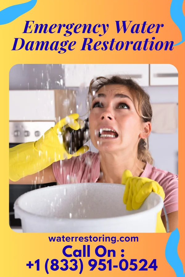 Emergency Water Damage Restoration in Shorewood, MN